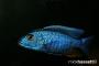 New Fishroom - last post by milky