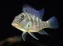 20" Cube Photolog - last post by japes